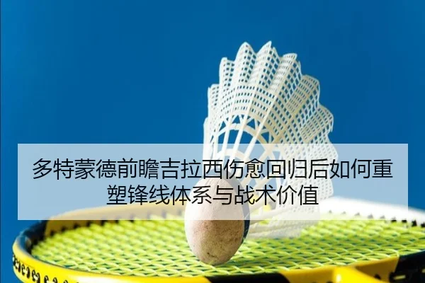 多特蒙德前瞻吉拉西伤愈回归后如何重塑锋线体系与战术价值 | kaiyun